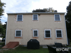 Acton3_before