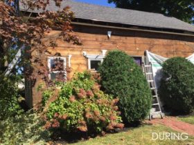 2020-Gallery-onanian-topsfield-images6
